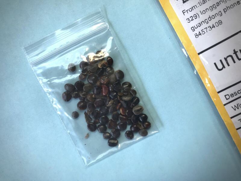 Seeds from foreign countries reach Ada